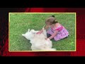 AFV Honorable Mentions Season 32 Episode 21