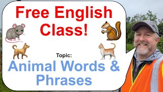 Let's Learn English! Topic: Animal Inspired Words & Phrases! 🐿️🐀🐈