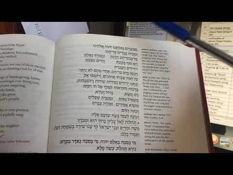 17 Ado. Eloheichem Emet to Tzur Yisrael