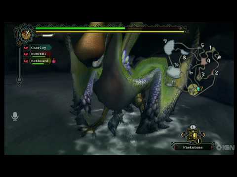 Monster Hunter Tri Review