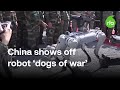 China shows off robot 'dogs of war' at joint military exercise with Cambodia | Radio Free Asia (RFA)