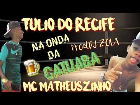 Mc MatheusZinho e Tulio Do Recife - Na Onda Da Catuaba