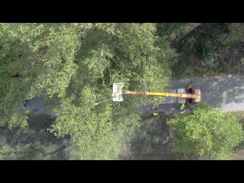 Βίντεο εργασιών