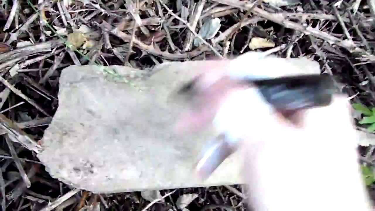 -Pursuit2.: A nessuno importa se viviamo moriamo