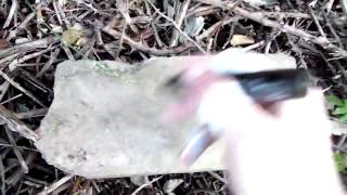 -Pursuit2.: A nessuno importa se viviamo moriamo