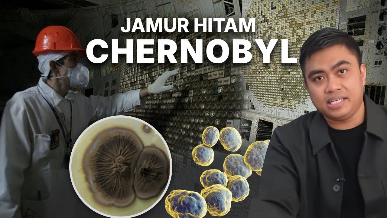 Jamur Hitam Ini Menyerap Radiasi Nuklir Chernobyl. Bagaimana Kebenarannya?