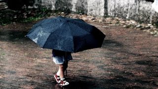 MEDO DA CHUVA - RAUL SEIXAS - (1974) MEDO DA CHUVA - RAUL SEIXAS - (1974)