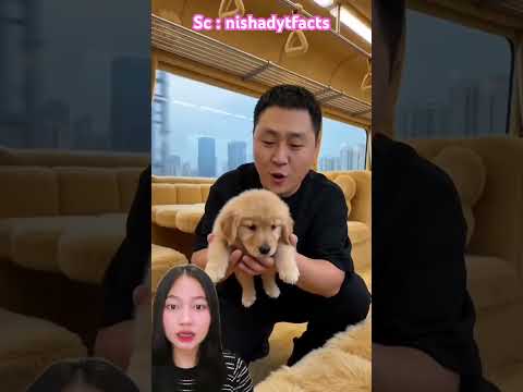 Kereta guguk ucul banget⁉️ nishadytfacts