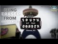 South Of The Border Walk Thru 2023 Bizarre Roadside Attraction Closing Theendorsement