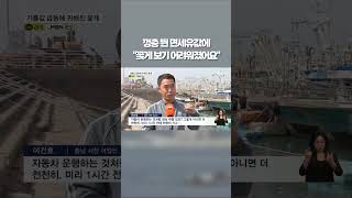 껑충 뛴 면세유값에 꽃게 보기 어려워졌어요 #shorts #숏톡