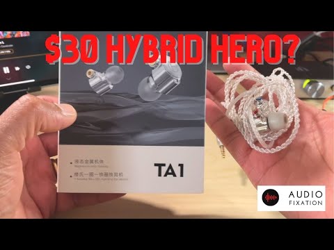 TRN TA1 IEM - Just another $30 IEM?