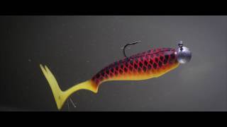 Delalande Sandra 16cm Ghost Perch