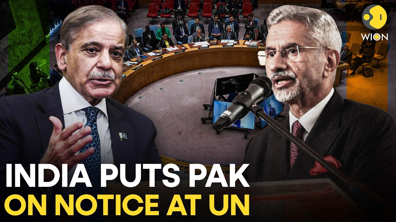 India WARNS Pakistan LIVE: “Face The Fallout”: India’s Blunt UNSC Warning To Pakistan | WION Live