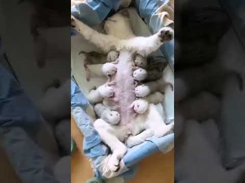 ماشاء الله ❤️