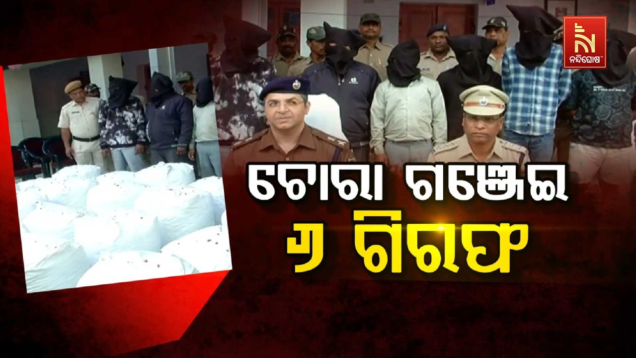 🔴 Live |ଚୋରା ଗଞ୍ଜେଇ: ୬ ଗିରଫ | Nandighosha TV