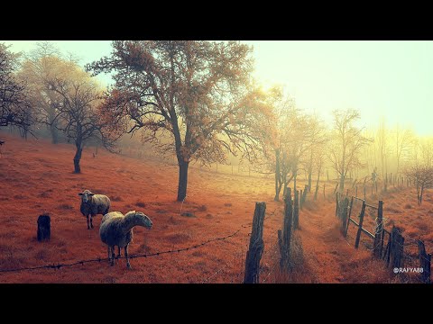 Photoshop Tutorial Create Your Own Cloud In Photoshop