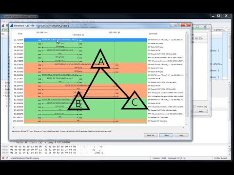 NE #81 SIP Call Conference Explained