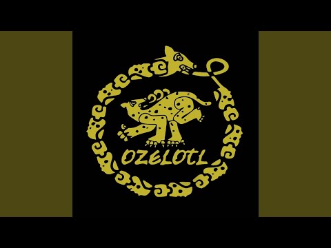 Escarabajo - Ozelotl