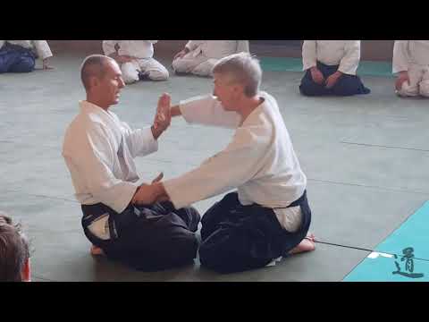 Traditional Aikido Europe - A YIN AND A YANG - Lewis Bernaldo de Quiros