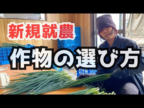 トマトの隣に植えてはいけない野菜は何ですか?これらは、絶対に避けるべき最悪の関連付け 6 つです。  庭園