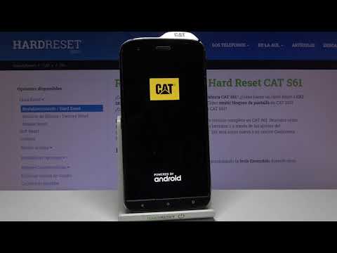 How to factory reset CAT S61 - format CAT, factory reset