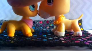 LPS: illy - Tightrope