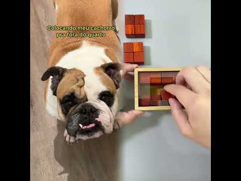 A platéia nao deixa fazer nada #humor #meme #pet