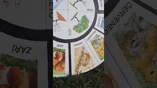 LaFiLepka – Kalendář kruh se zvířátky (45 cm) | Roční období a měsíce