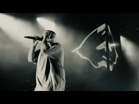 Zeballos - Bullshit 2 (VIVO) Estadio Obras Sanitarias - Buenos Aires