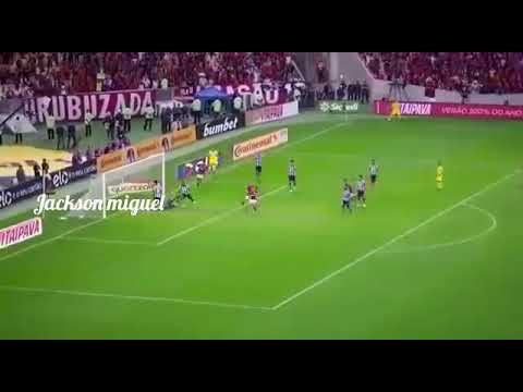 Berrio da esse dibre em Vitor luis-  Flamengo 1 x 0 botafogo