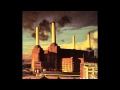 Pink Floyd - Pigs (Three Different Ones)+Lyrics ...