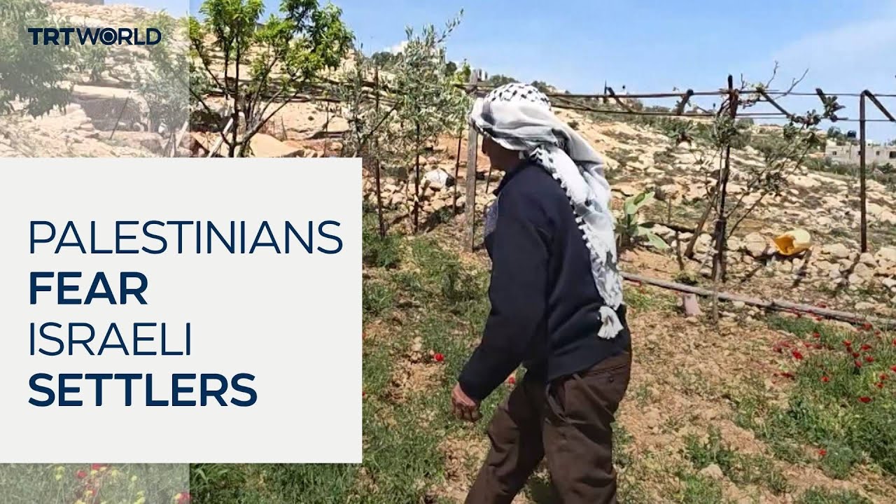 Palestinians live in fear amid illegal Israeli settler attacks