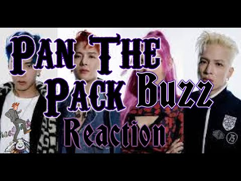 BUZZ - PANTHEPACK | Punk Rock Parents REACT