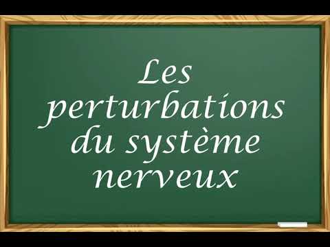 Les perturbations du système nerveux #Collège