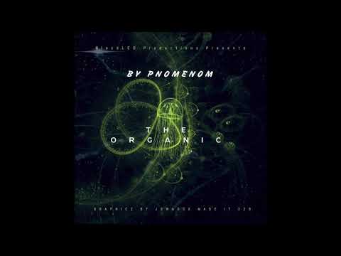 P. Nomenon - The Organic