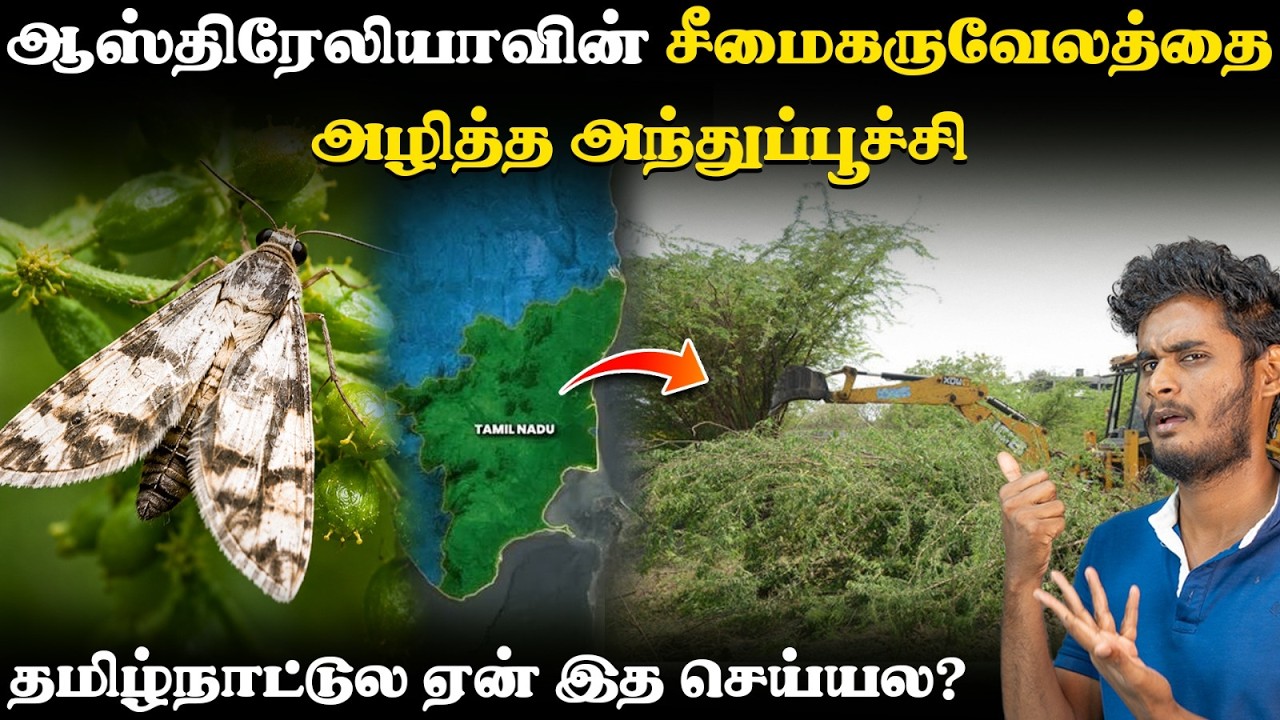 🤔🤯Australia-வால செய்ய முடிஞ்சத ஏன் தமிழ்நாட்டுல செய்ய மு?