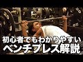 【筋トレ】初心者でもわかりやすいベンチプレス【解説】