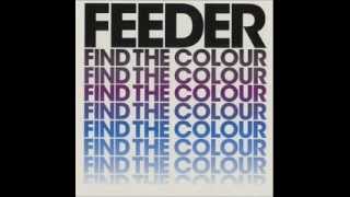 Feeder - Circles