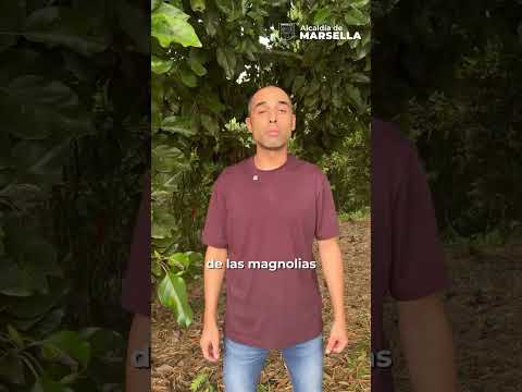 Marsella  la naturaleza, la biodiversidad  y la conservación ambiental