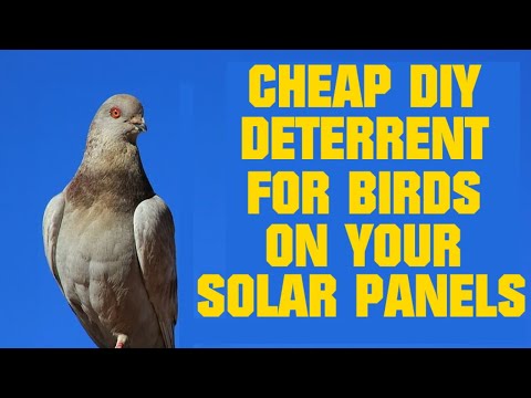 YouTube video about: How to keep birds from nesting under solar panels?