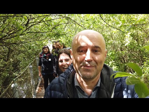 TRA LE SPONDE E LE PENDICI 15 - di Paolo Del Ry