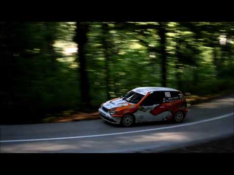 Tomo Nikitovic / Marko Milanovic - 2. Rally Djerdap 2019 - VW Polo 1.4 A