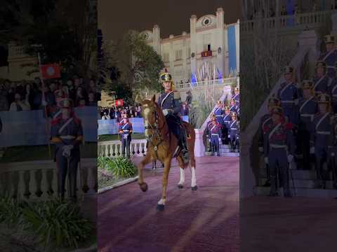 Sin palabras... GRACIAS (fuente: Regimiento de Granaderos  Caballo "General San Martín). #shortvideo