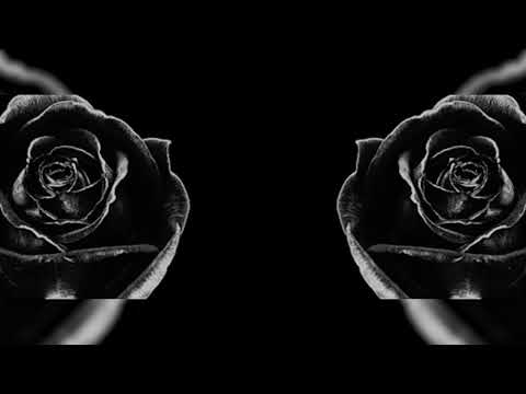 Оксана БІЛОЗІР - Чорна квітка (Official audio)