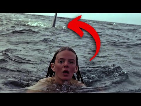 Jaws 2 (1978): 20 Weird Facts You Didn't Know!