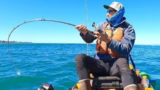 YOU WON'T BELIEVE How Many Times I Caught This Fish
