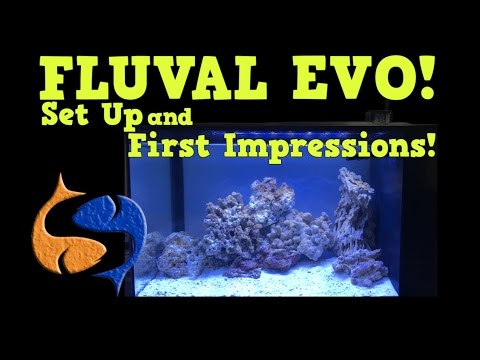 Fluval Evo 13 Gallon Assembly and First Impressions!! First Reef Tank!! KGTropicals