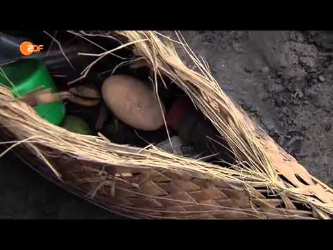 Terra X Wilder Planet Teil 1 Vulkane