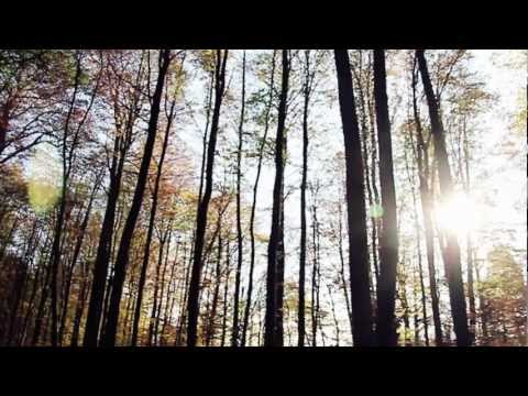 Stereoclip - It Was Nice