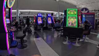 라스베가스 드디어 입성! | Finally at Las Vegas! [USA # 11]